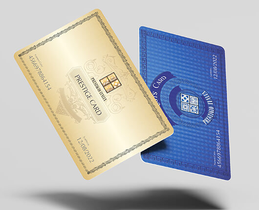 Scopri Le Cards Prestigio Italia